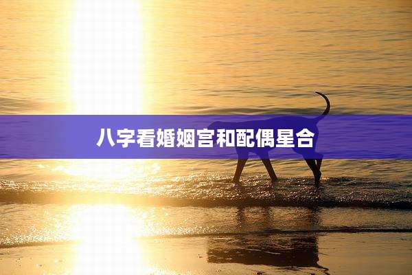八字看婚姻宫和配偶星合