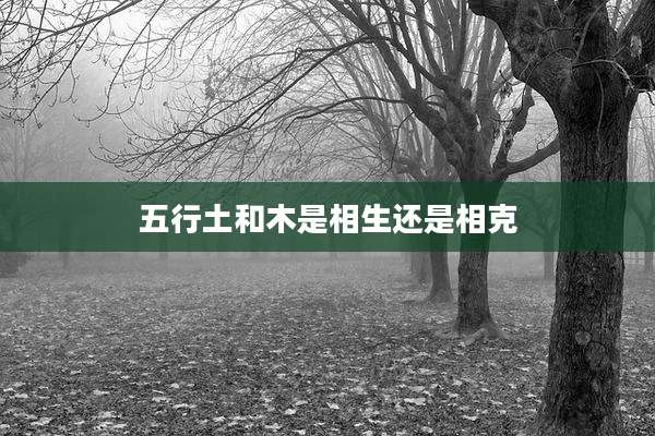 五行土和木是相生还是相克