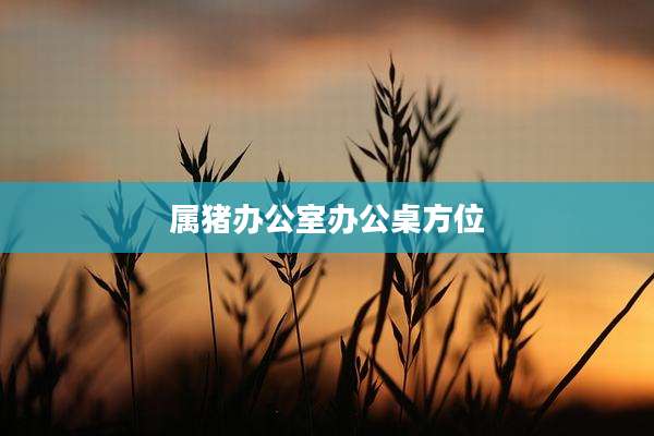 属猪办公室办公桌方位