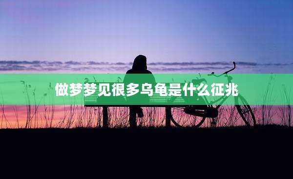 做梦梦见很多乌龟是什么征兆