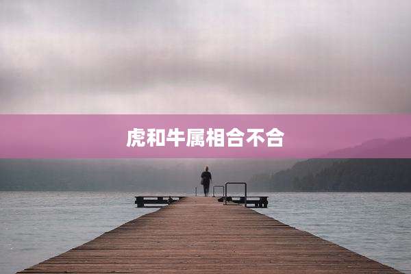 虎和牛属相合不合