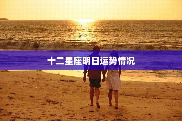 十二星座明日运势情况