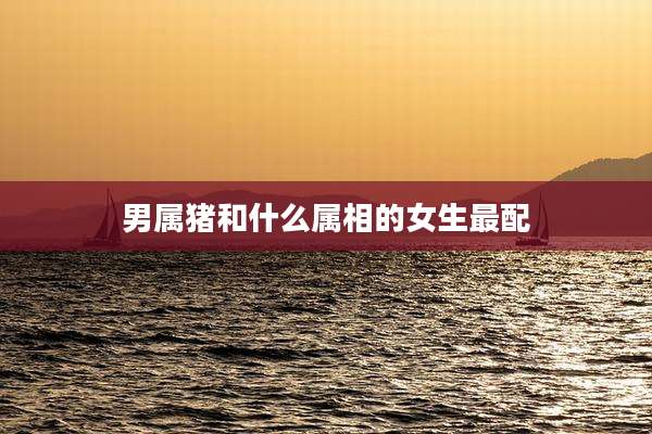 男属猪和什么属相的女生最配
