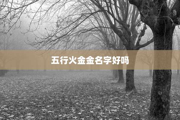 五行火金金名字好吗