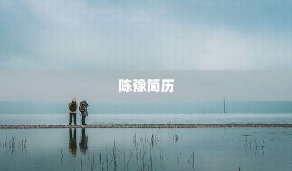 陈豫简历