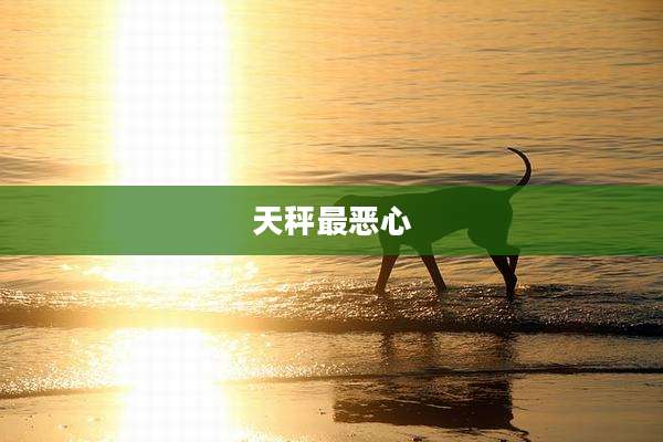 天秤最恶心