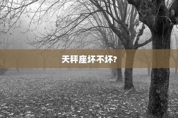 天秤座坏不坏?