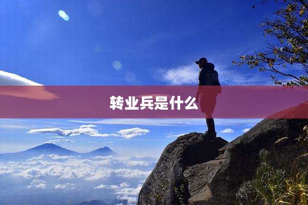 转业兵是什么