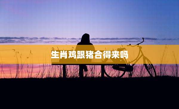 生肖鸡跟猪合得来吗