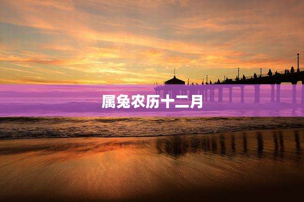 属兔农历十二月