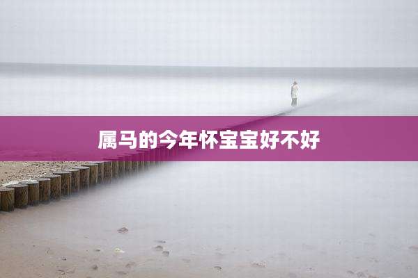 属马的今年怀宝宝好不好