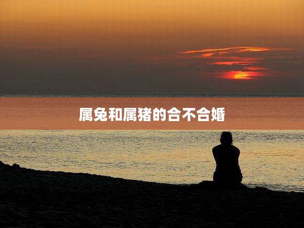 属兔和属猪的合不合婚