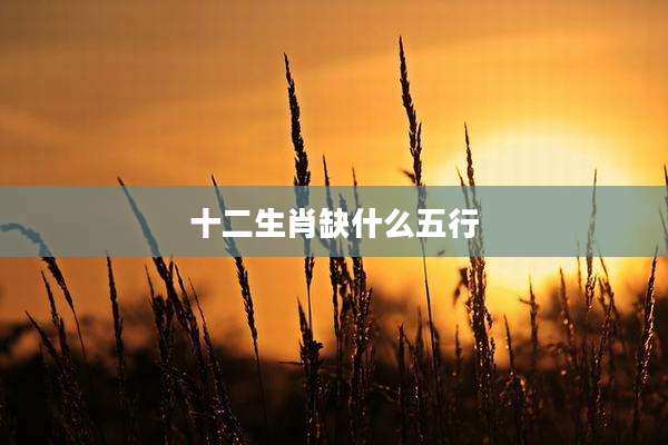 十二生肖缺什么五行