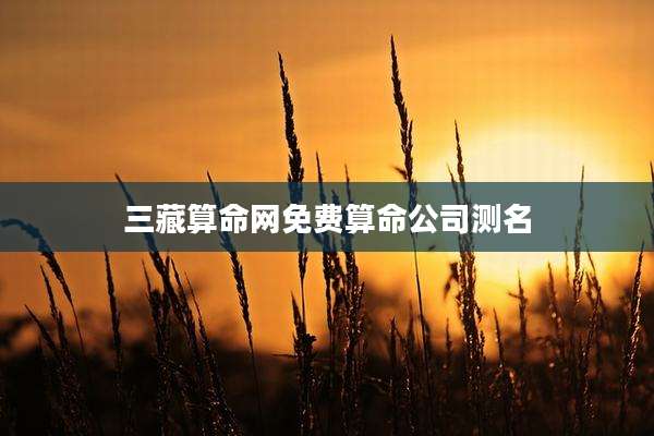三藏算命网免费算命公司测名
