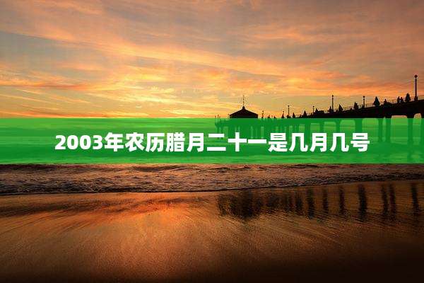 2003年农历腊月二十一是几月几号
