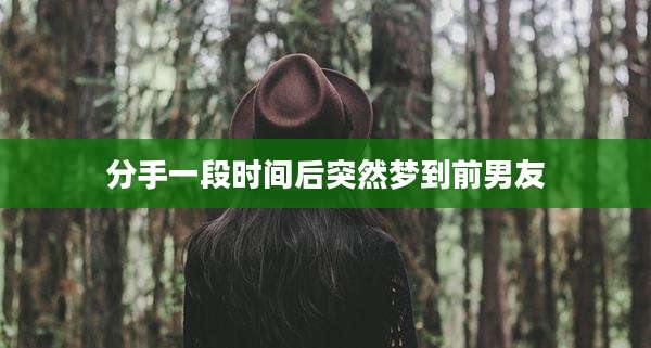 分手一段时间后突然梦到前男友