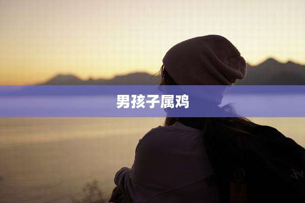 男孩子属鸡