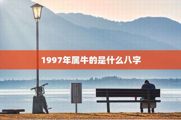 1997年属牛的是什么八字