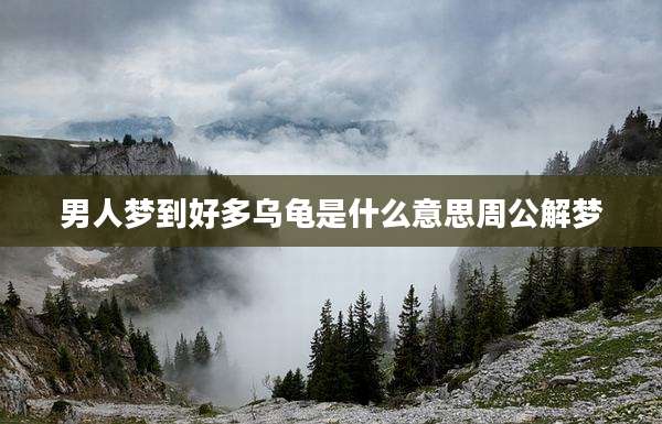 男人梦到好多乌龟是什么意思周公解梦