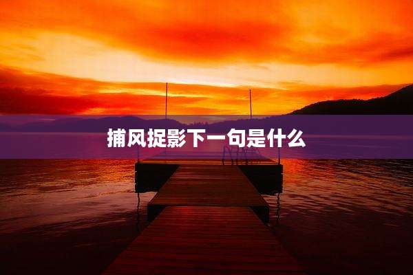 捕风捉影下一句是什么