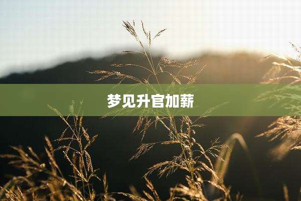 梦见升官加薪