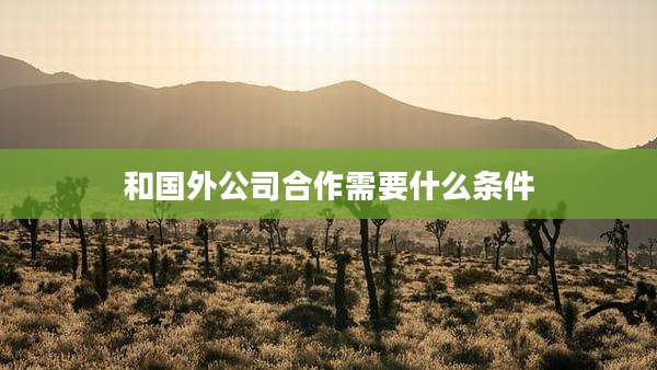和国外公司合作需要什么条件