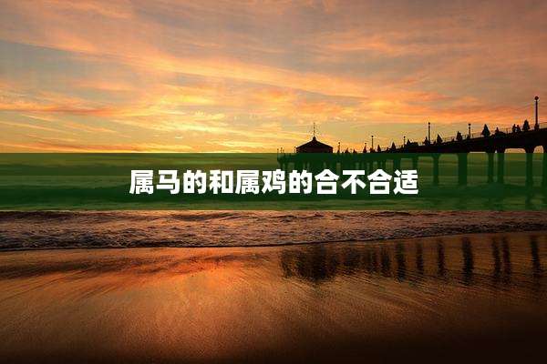 属马的和属鸡的合不合适