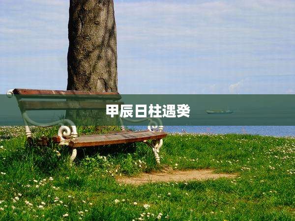甲辰日柱遇癸