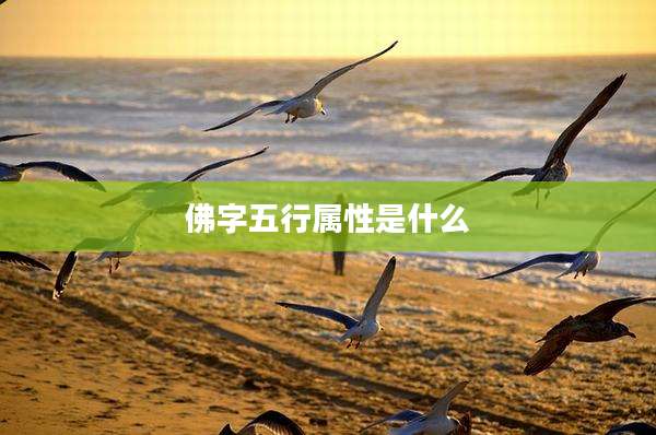 佛字五行属性是什么