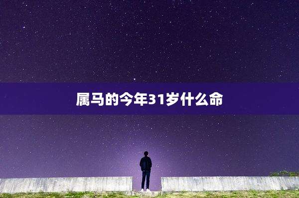 属马的今年31岁什么命