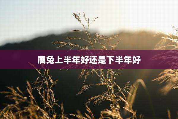 属兔上半年好还是下半年好