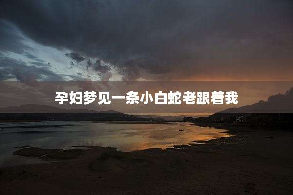 孕妇梦见一条小白蛇老跟着我