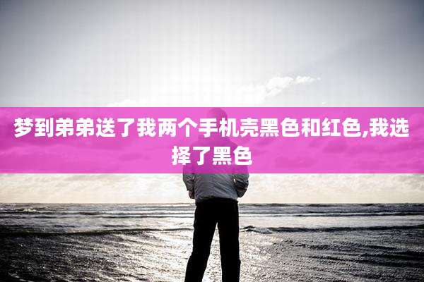 梦到弟弟送了我两个手机壳黑色和红色,我选择了黑色