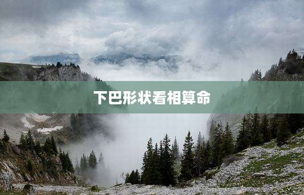 下巴形状看相算命