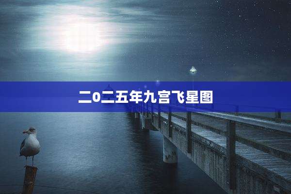 二0二五年九宫飞星图