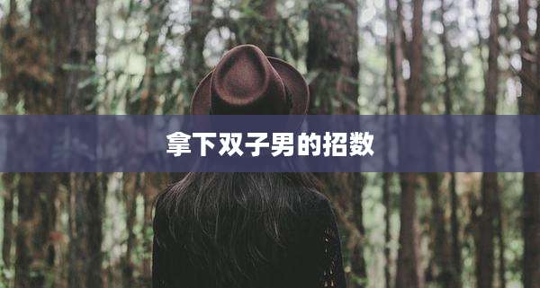 拿下双子男的招数