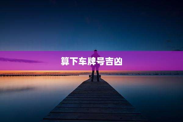 算下车牌号吉凶
