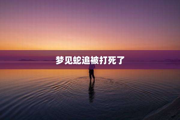 梦见蛇追被打死了