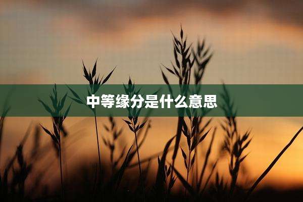 中等缘分是什么意思