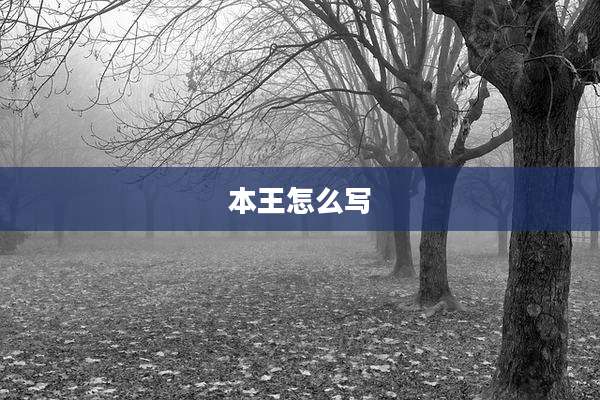 本王怎么写