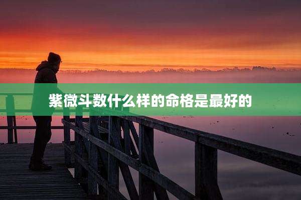 紫微斗数什么样的命格是最好的