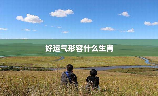 好运气形容什么生肖