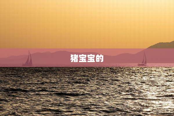猪宝宝的