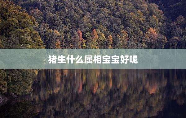猪生什么属相宝宝好呢