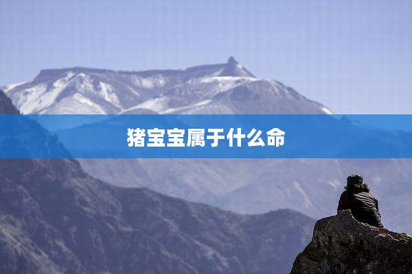 猪宝宝属于什么命