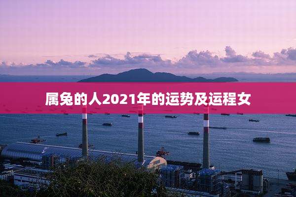 属兔的人2021年的运势及运程女