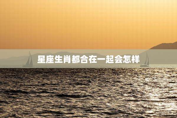 星座生肖都合在一起会怎样