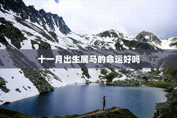 十一月出生属马的命运好吗