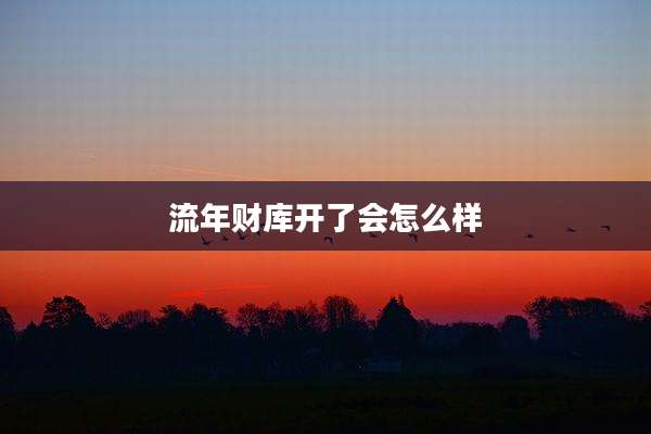 流年财库开了会怎么样
