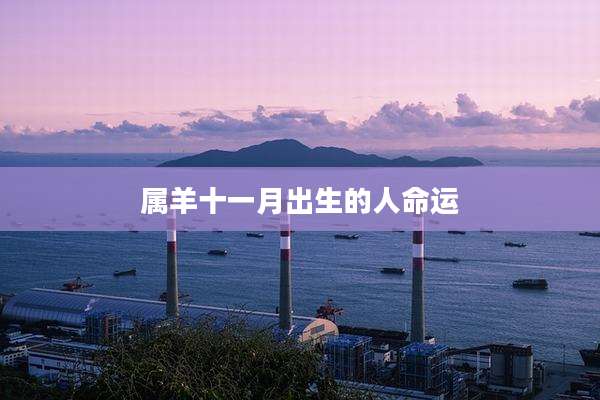 属羊十一月出生的人命运